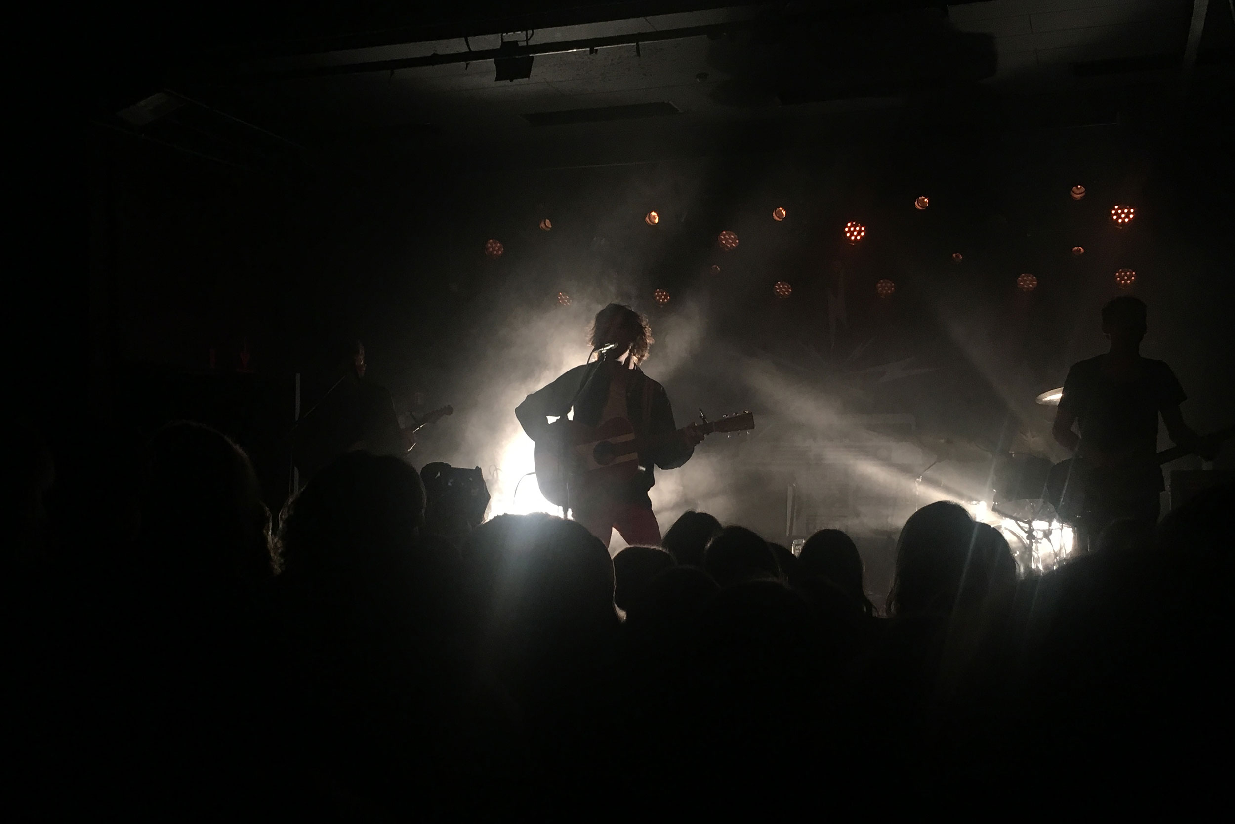 Carl Emil Petersen, Lille Vega, København